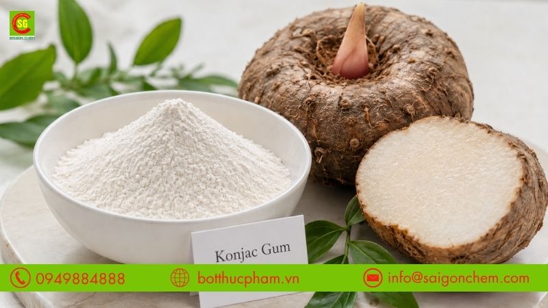 Konjac Gum l&agrave; g&igrave;?